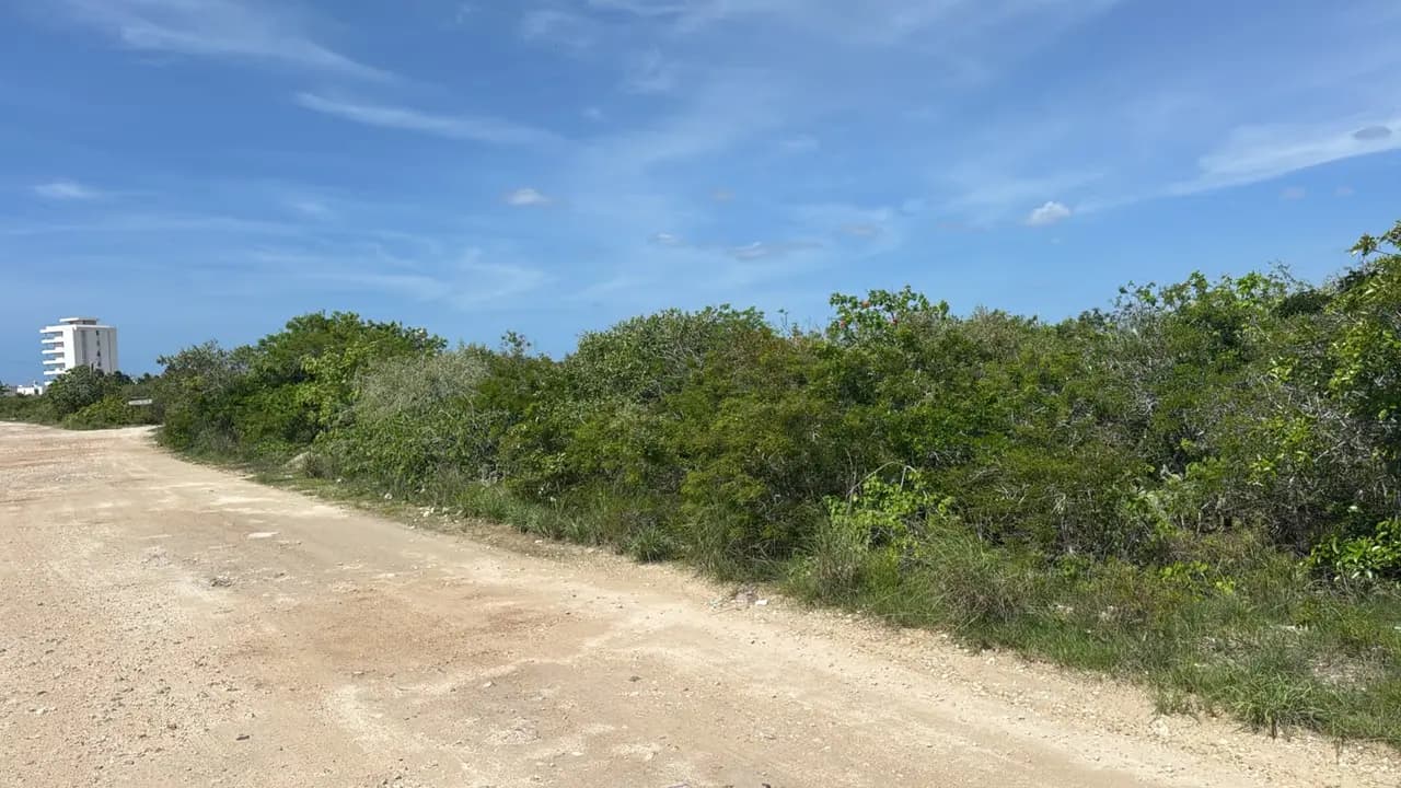 KM 13 foto 1