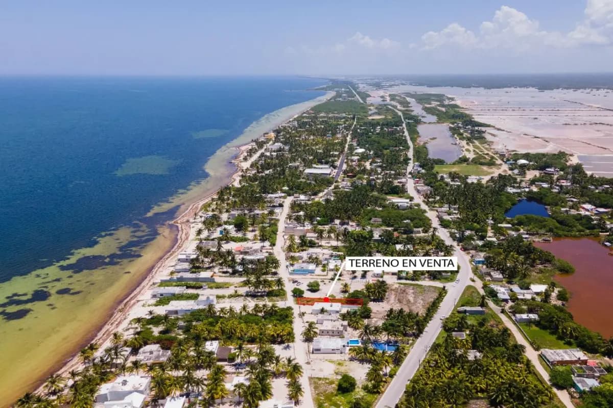 San Crisanto